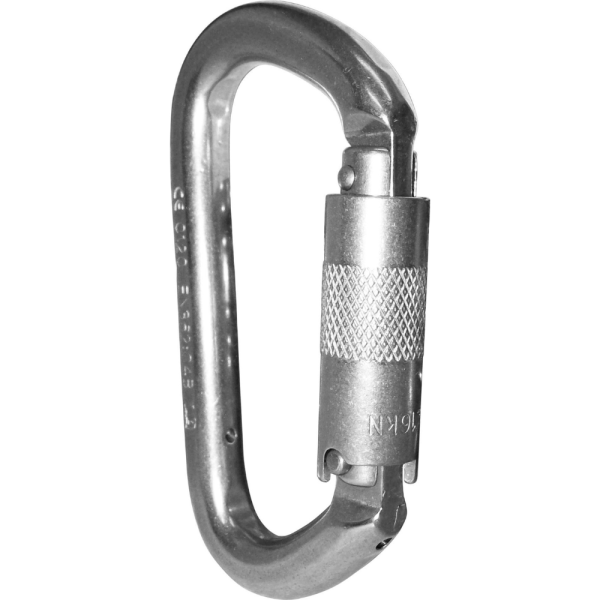 Stainless D Shape Karabiner